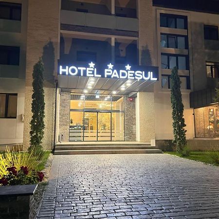 Hotel Padesul Făget エクステリア 写真